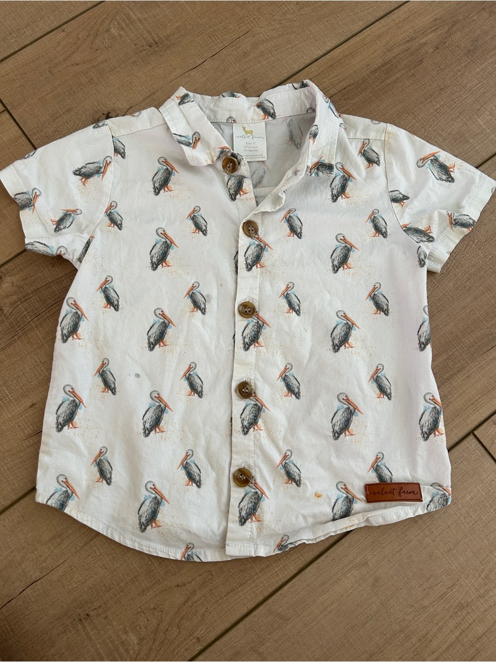 Louisiana Pelican Print Short-Sleeve Button-Down Kids Shirt
